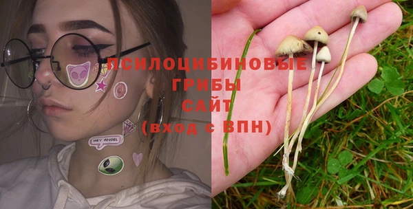 mdpv Алексеевка