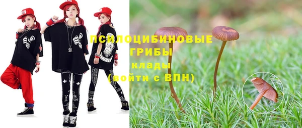2c-b Алзамай