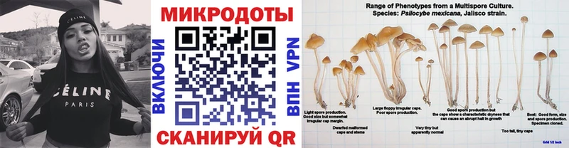 Псилоцибиновые грибы мухоморы  mega ссылки  Йошкар-Ола 